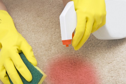 Professional window cleaning for homes and businesses in TW1