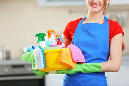 Hard floor care for a flat or apartment in TW1