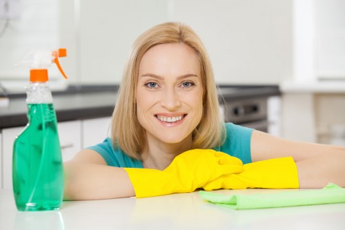 Professional carpet cleaning equipment ready for service