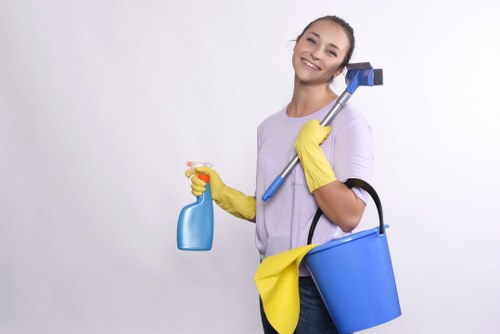 Local sofa cleaning service for homes near St Margarets and Twickenham