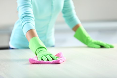 Local TW1 stain removal assessment for delicate fabrics and furnishings