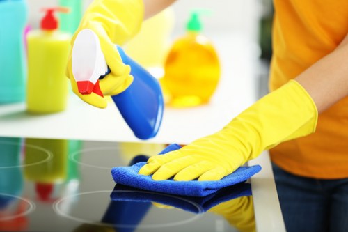 Bank transfer and card payment options for Carpet Cleaners TW1