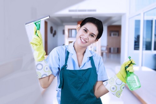 Professional regular cleaning for a TW1 office or small business