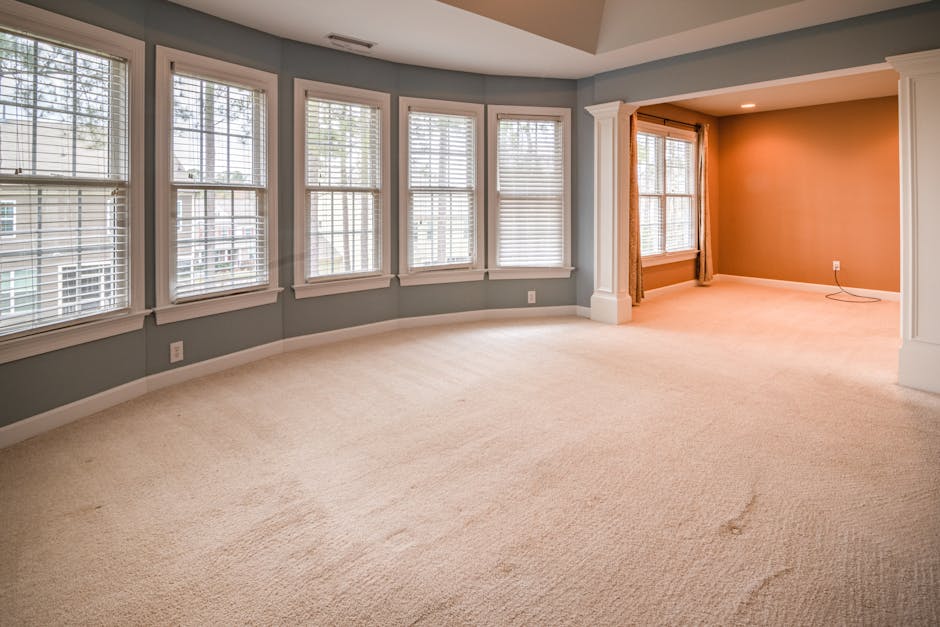 Carpet cleaning Twickenham Stadium area same day service