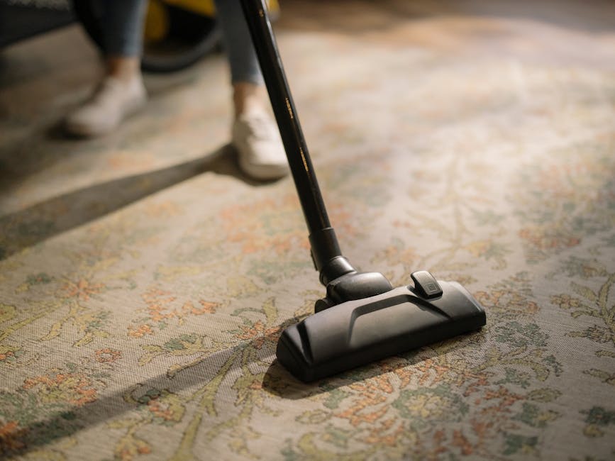A black and red handheld vacuum cleaner resting on a polished wooden floor near the edge of a patterned area rug, with natural light casting shadows across the surface. The wooden floor shows a glossy